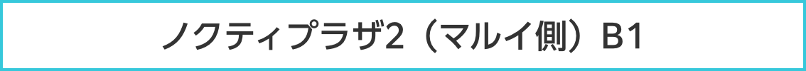 ノクティプラザ2（マルイ側）B1